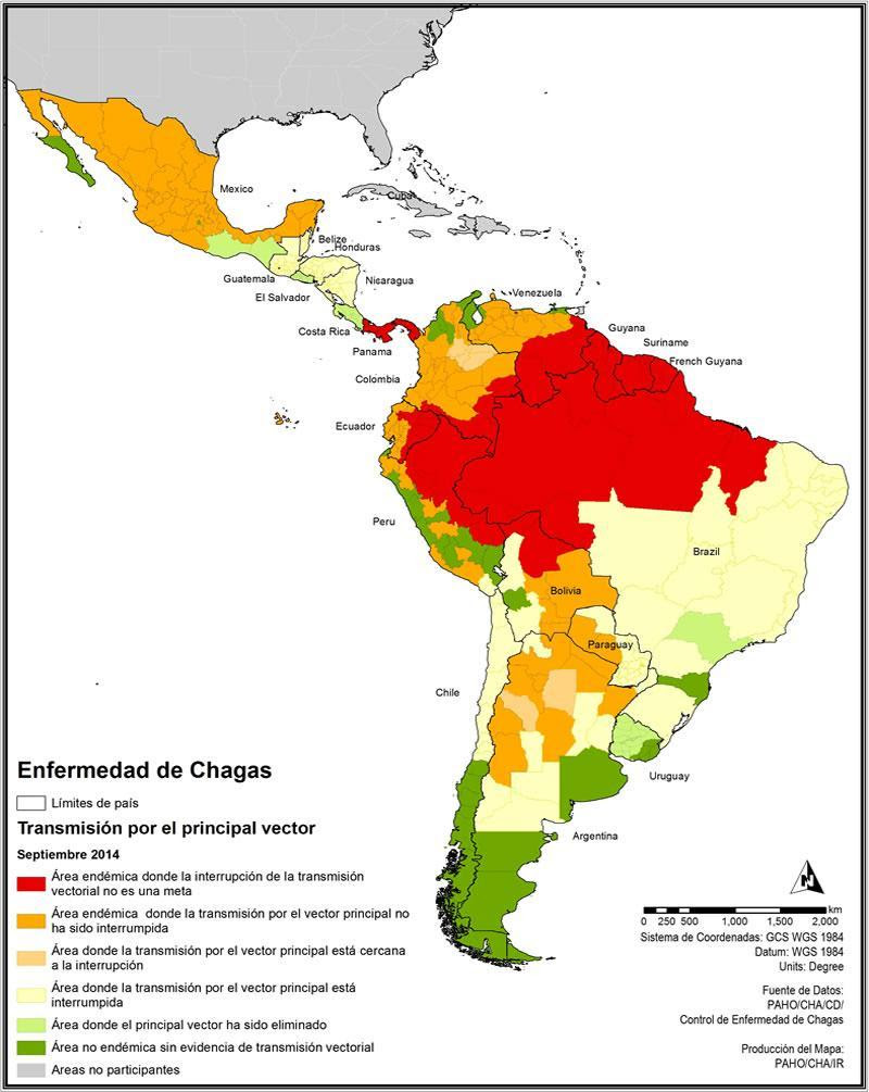 Enfermedad De Chagas En Argentina Nacen Ni Os Infectados Por A O