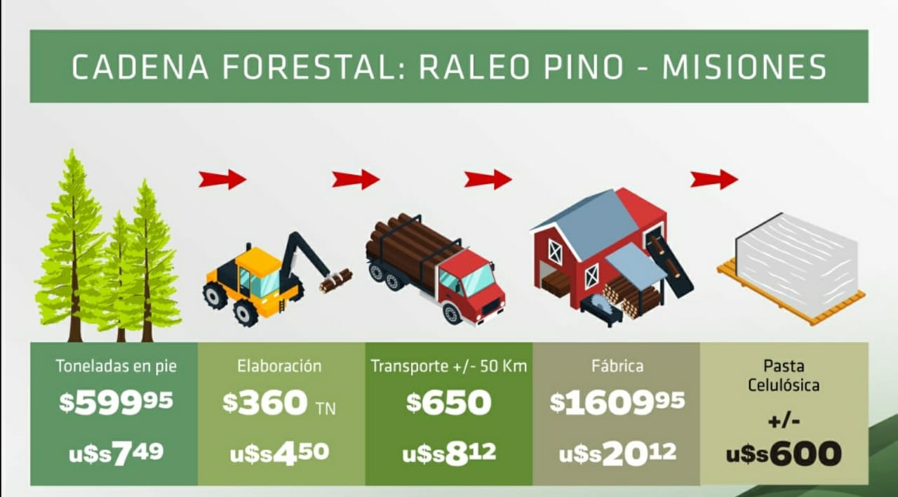 Por primera vez en la historia Misiones fijó el precio mínimo para la materia prima forestal