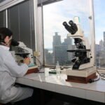 De científicas a empresarias: la camada del CONICET que levantó más de US$ 40 millones para fundar startups biotech