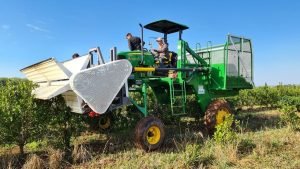 Agricultura de precisión: tecnología, datos y sustentabilidad en las chacras de Misiones