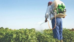 Glifosato: el sector forestal apoya cambios en la ley de Misiones