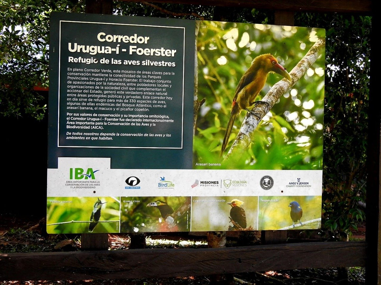 “El Cielo Guaraní en la Pintura”, una nueva experiencia para los