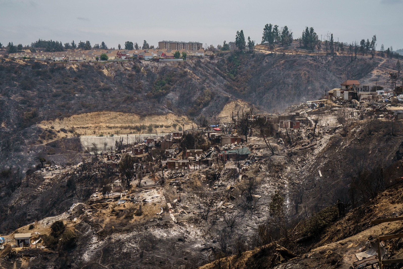 Al menos 112 muertos por los incendios forestales en Chile : Economis