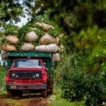 Misiones desactiva la prohibición del glifosato y condiciona el reemplazo a alternativas viables