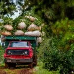 Misiones desactiva la prohibición del glifosato y condiciona el reemplazo a alternativas viables