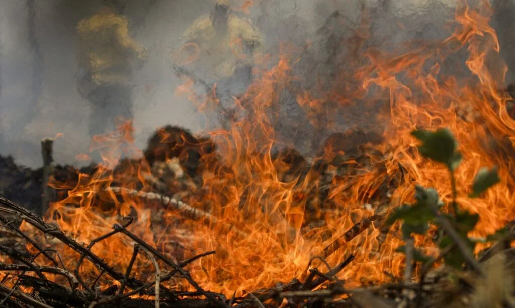 Casi 1/4 del territorio brasileño se ha incendiado en 40 años