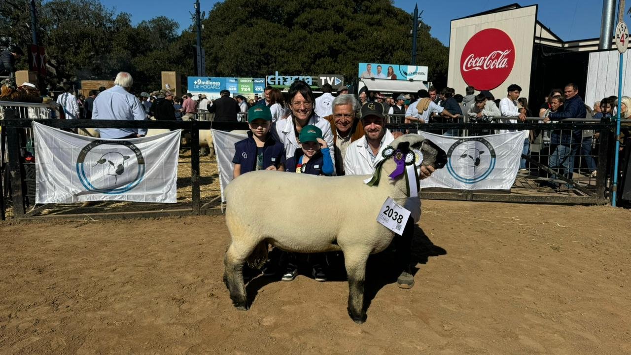 Misiones se lució en la pista de la Expo Rural en Palermo : Economis
