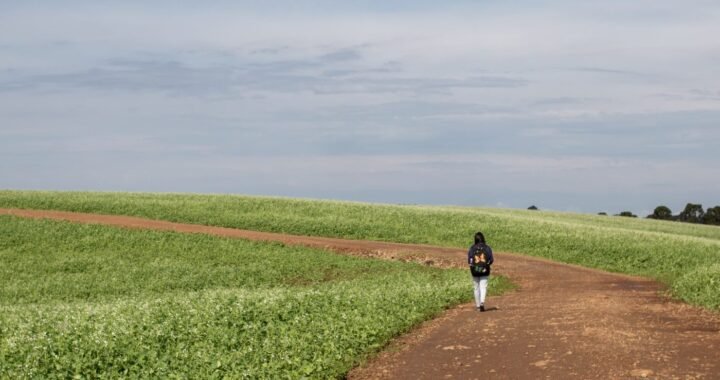 Una alumna de la escuela rural Attilio Benedetti de Vacaria, Rio Grande do Sul, camina por campos de cultivo camino a su casa. En este municipio agrícola, muchos cultivos se tratan con plaguicidas, que según algunos han causado graves problemas de salud a sus hijos (Imagen: Anna Ortega)