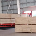 Acon Timber toma un préstamo de USD 30 millones para financiar inversiones en Argentina