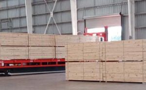Acon Timber toma un préstamo de USD 30 millones para financiar inversiones en Argentina