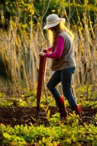 Misiones reclama baja de retenciones para granos