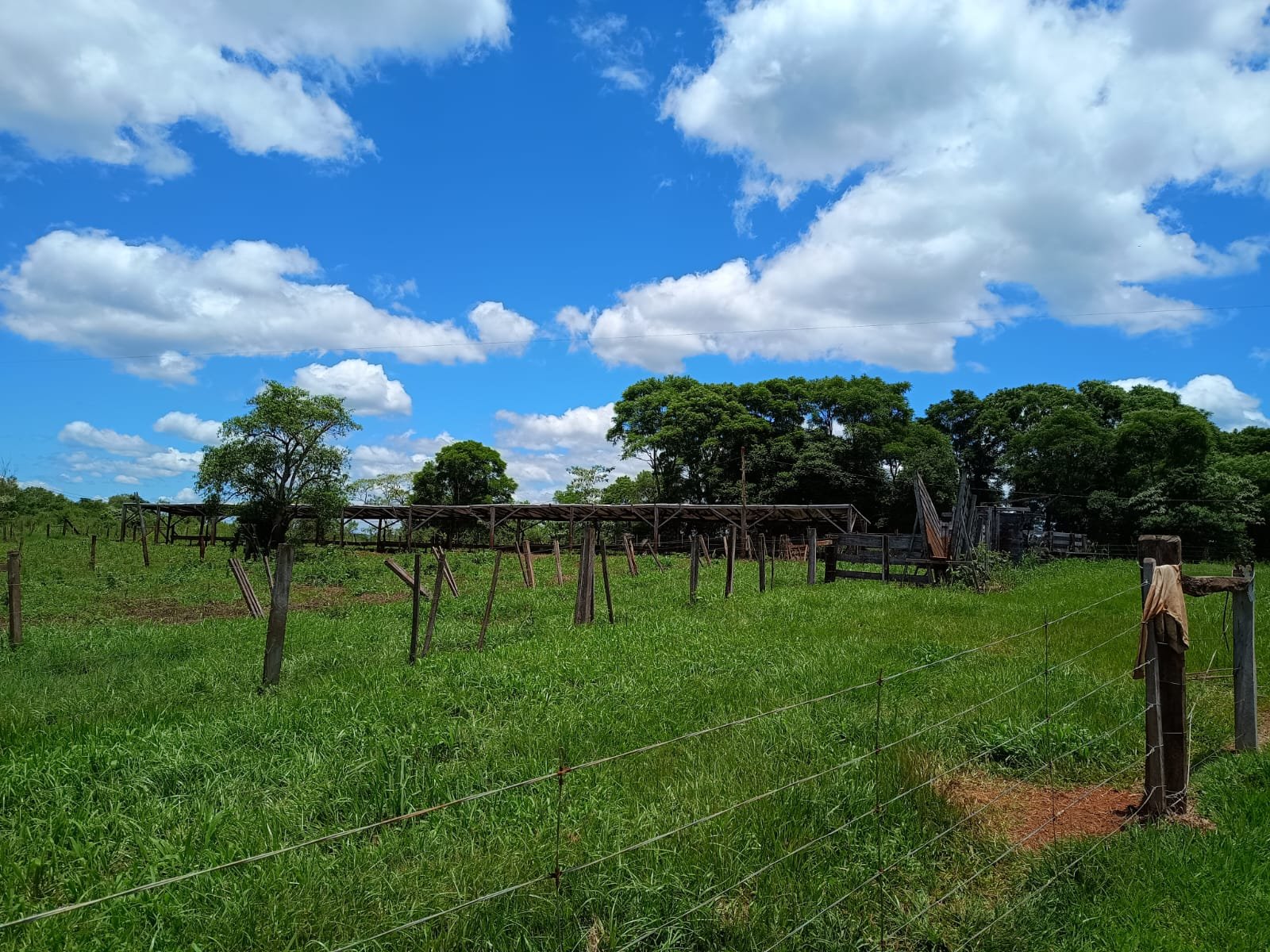 Inspeccionaron dos feedlots de El Soberbio que presentaron ante Ecología su respectivo Estudio de Impacto Ambiental