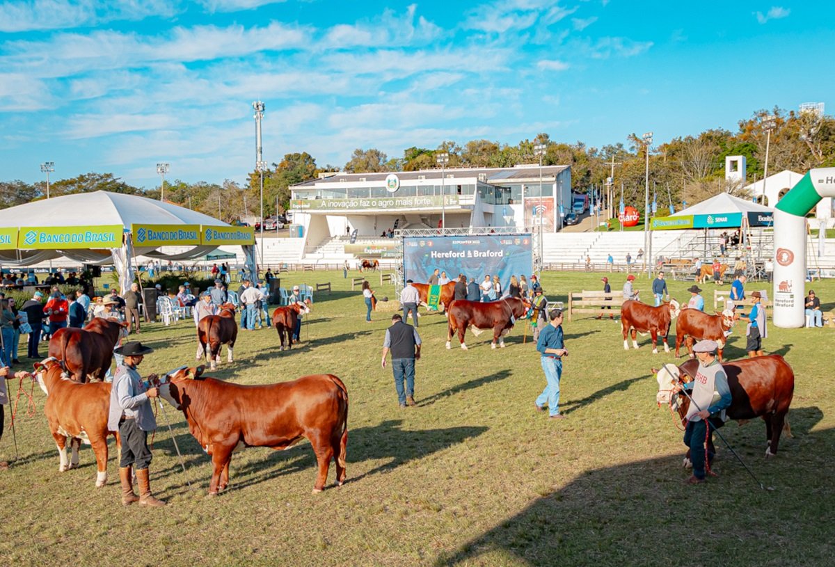 Mundial Braford tendrá juzgamientos y charlas en la etapa realizada en el Parque de Exposiciones de Esteio
