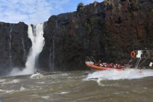 Las Cataratas del Iguazú atraen hasta a los yaguaretés: Uyara deslumbró a turistas en las orillas del río