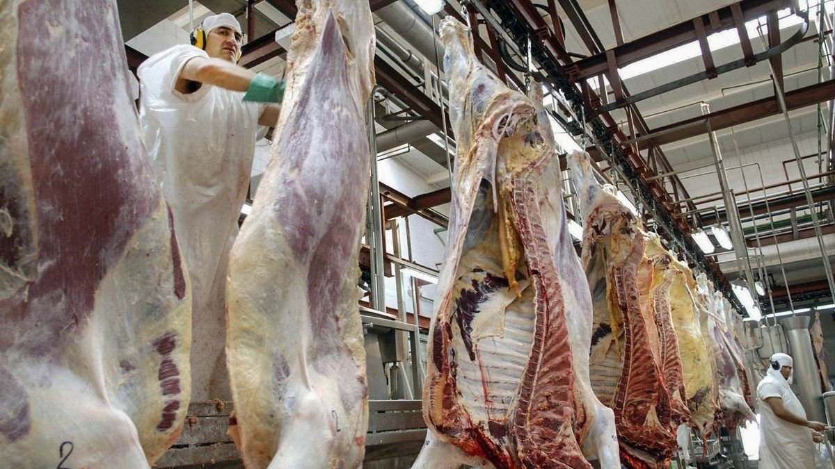 Menos faena y más kilos: la ganadería argentina da señales de un posible giro hacia la retención