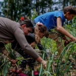 Passalacqua presentó “Ahora Chacra”: reintegros del 20% para productores