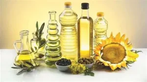 Exportaciones récord de aceites vegetales: el agro argentino encuentra un nuevo motor
