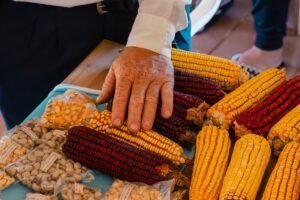 Misiones celebra 29 años de la feria provincial de Semillas con un llamado a fortalecer la soberanía alimentaria y la biodiversidad