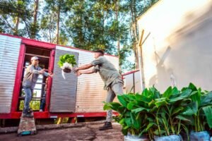 De Misiones a Salta: salió el primer envío 2026 de bananos  