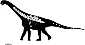 Descubren en Chubut un nuevo dinosaurio, qué se sabe del Bicharracosaurus