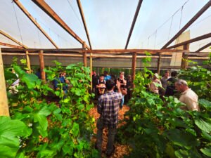 Impulsan nuevas alternativas de producción hortícola fuera de estación