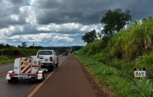 Misiones hará terceras trochas en la ruta 14 con fondos propios: 25 millones de dólares de inversión