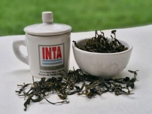 Evaluación sensorial de cultivares de té: aportes para el desarrollo del té de especialidad en Misiones