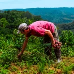 En junio comienza el “Ahora Chacra” y está habilitada la adhesión para ferreterías y agroveterinarias