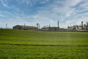 Transformación digital en el campo: cómo el software a medida optimiza la cadena de suministro agroindustrial