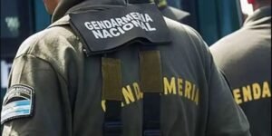 Gendarmería incautó un camión que llevaba cocaína oculta en una carga de madera