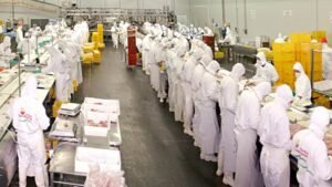 Granja Tres Arroyos cerró su planta de Entre Ríos y peligran 950 empleos
