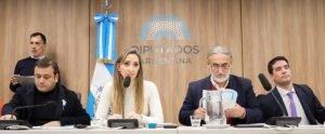 La crisis del sector yerbatero llegó al Congreso 