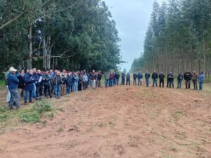 CONFIAR: la forestoindustria busca acelerar inversiones y crecimiento federal