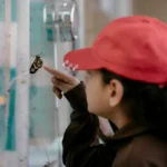 Turismo educativo: Los parques Provinciales como escenarios pedagógicos