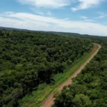 Misiones avanzará con el Bono de Infraestructura y prepara el primer Bono Verde respaldado por créditos de carbono