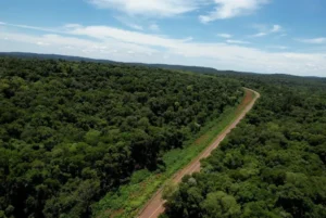 Fin de semana largo y vacaciones de invierno disparan el tránsito en las rutas de Misiones