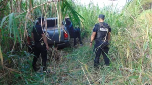 La Policía frustró la fuga de una camioneta cargada con 900 kilos de droga valuada en más de $3.300 millones en Eldorado