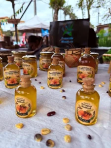 La miel de yateí une producción, monte y cultura guaraní en Misiones