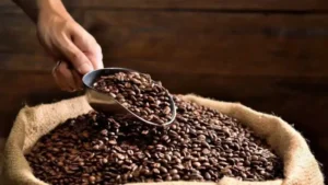 Café de especialidad hecho en Misiones: una apuesta emprendedora que mira al futuro