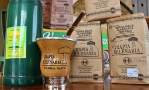 La cooperativa que desafía la crisis yerbatera: paga hasta el doble que el mercado por la hoja verde