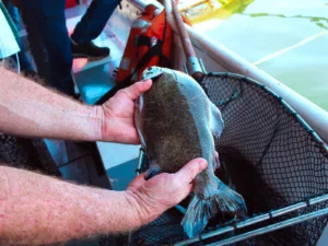 Capacitan a productores piscícolas sobre el uso de la Sala de Faena de Apóstoles