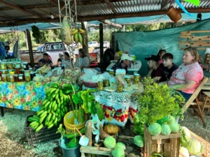 Cultura presente en la “Fiesta Colonial”