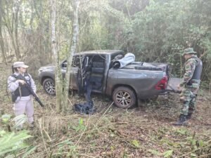 Incautan casi una tonelada de marihuana en Misiones: la droga estaba valuada en más de $3.700 millones