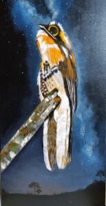 Mariana Botteron invita a redescubrir la selva misionera a través del arte