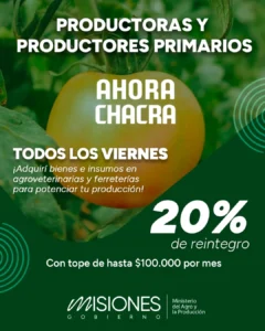Ahora Chacra: el programa que busca fortalecer la inversión productiva de los pequeños productores misioneros