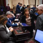 El Gobierno volvió a quedarse sin los votos y postergó la ley de Propiedad Privada hasta agosto