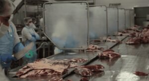 El consumo de carne vacuna cayó 11,5% y marcó el peor primer semestre en tres décadas