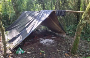 Guardaparques desarticularon infraestructura utilizada para la caza furtiva en áreas protegidas