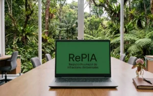 Ecología y el sector maderero acordaron una mesa técnica-jurídica para analizar los alcances del RePIA