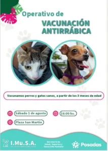 Refuerzan la vacunación antirrábica de perros y gatos tras la confirmación de un caso positivo de rabia en un murciélago en Posadas